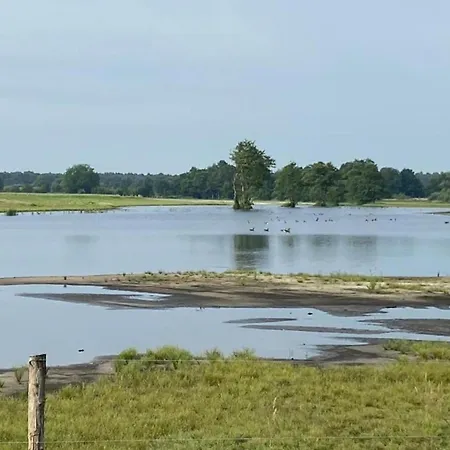 Prázdninový dům In Leenderbos Near Nature Reserve, Cleaning Included Leende