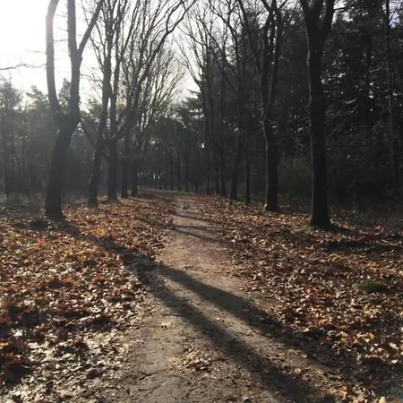 In Leenderbos Near Nature Reserve, Cleaning Included * Leende