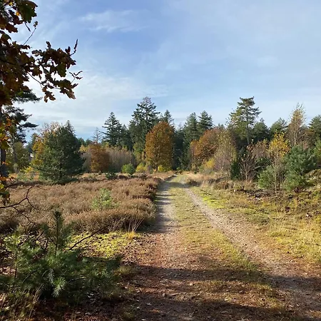 In Leenderbos Near Nature Reserve, Cleaning Included * Leende