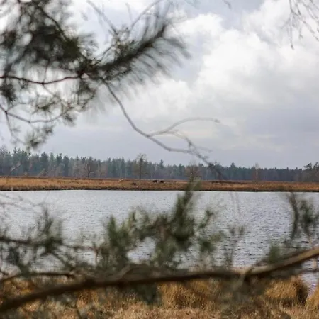 In Leenderbos Near Nature Reserve, Cleaning Included Leende