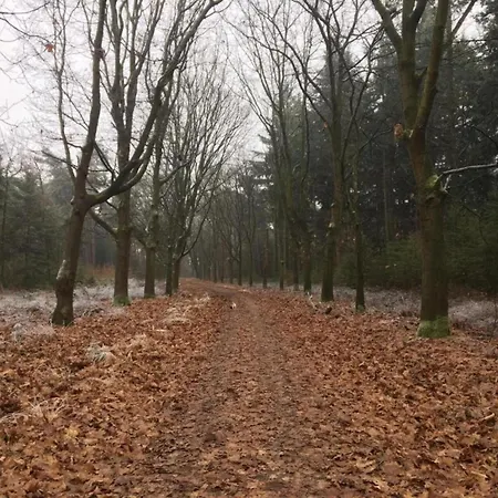 In Leenderbos Near Nature Reserve, Cleaning Included *
