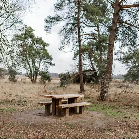 In Leenderbos Near Nature Reserve, Cleaning Included